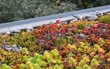 the cost of Upper Hayton green roof installation