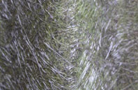 Upper Hayton fibreglass roof work